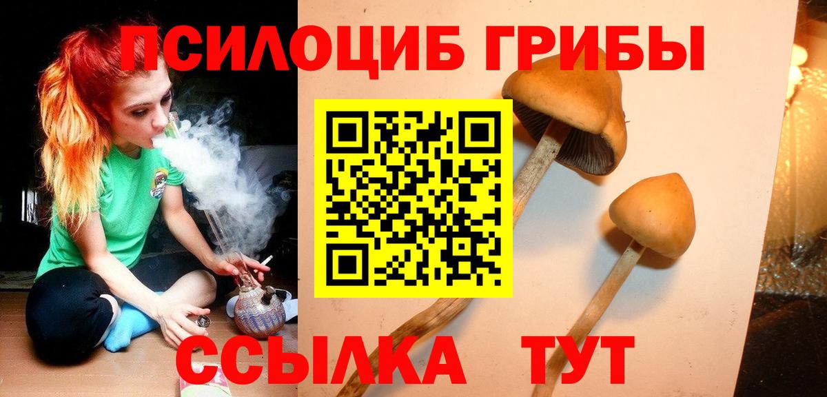 Галлюциногенные грибы Magic Shrooms Абакан