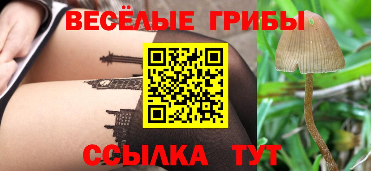 Абакан  Галлюциногенные грибы мухоморы  Вход с VPN 